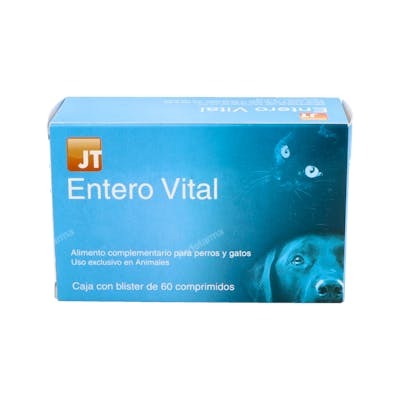 JT ENTEROVITAL 60 COMPRIMIDOS VET