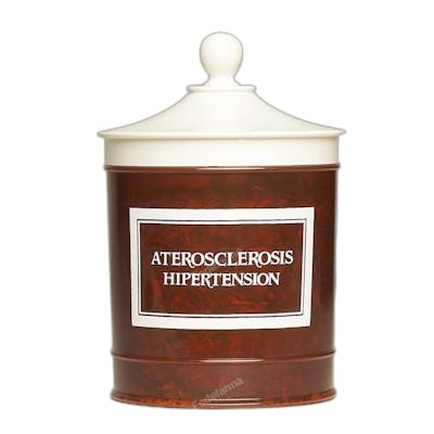 AVERROES ATEROSCLEROSIS-HIPERTENSION (PULSOPHYTON) 90 GR