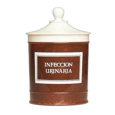 AVERROES INFECCION URINARIA 90 GR