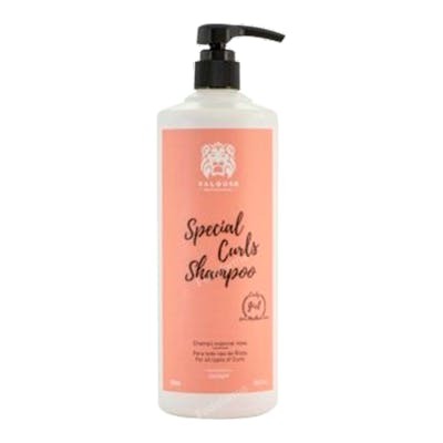 VALQUER CHAMPU ESPECIAL RIZOS 400 ML