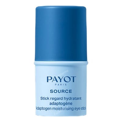 SOURCE STICK REGARD HIDRATANTE ADAPTOGENICA 45 GR NA
