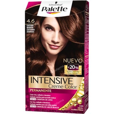 PALETTE INTENSIVE CREME COLOR COLORACION PERMANENTE 46 CASTA