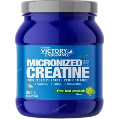 VICTORY ENDURANCE CREATINA 200 MESH ASTRAGIN MINT-LEMONADE 3