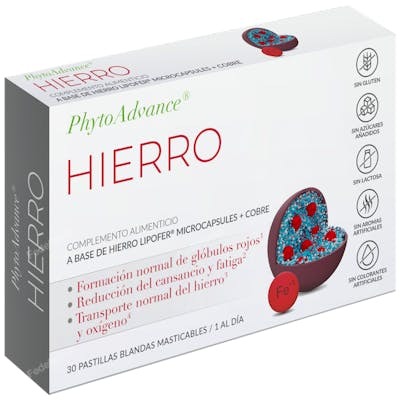 PHYTOADVANCE HIERRO 30 PAST BLANDAS MASTIC