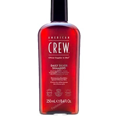 DAILY SILVER CHAMPÚ 250ML