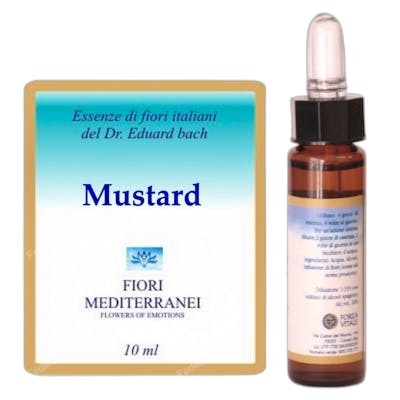FM MUSTARD (MOSTAZA) 10ML