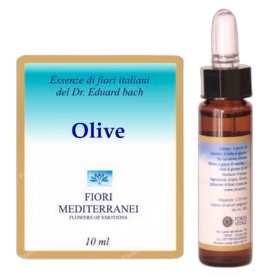 FM OLIVE (OLIVO) 10ML