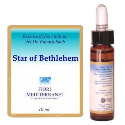 FM STAR OF BETHLEHEM (ESTRELLA DE BELEN) 10ML