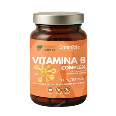 ENERGY FEELINGS VITA B BIODISPONIBLE 90 CAPSULAS
