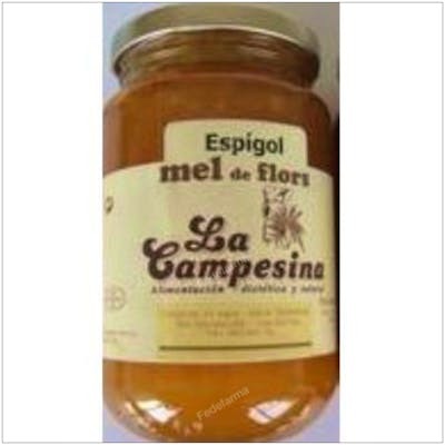 LA CAMPESINA MIEL DE ESPLIEGO 500GR