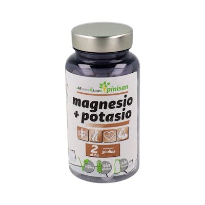 PINISAN MAGNESIO+POTASIO 60comp