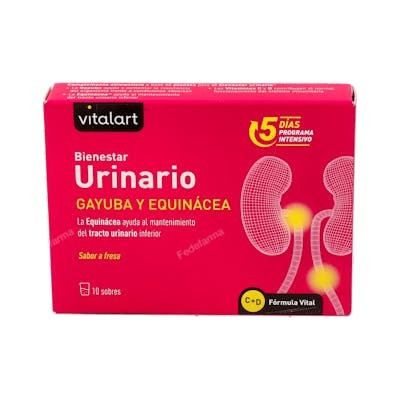 VITALART BIENESTAR URINARIO 10sbrs.