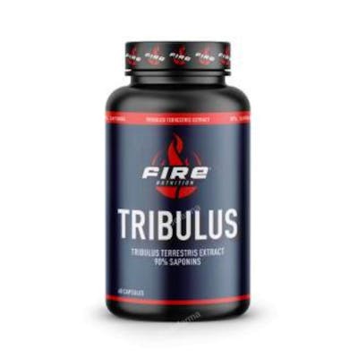 FIRE NUTRITION TRIBULUS TERRESTRIS 90SAPONINS 60CAPSULAS