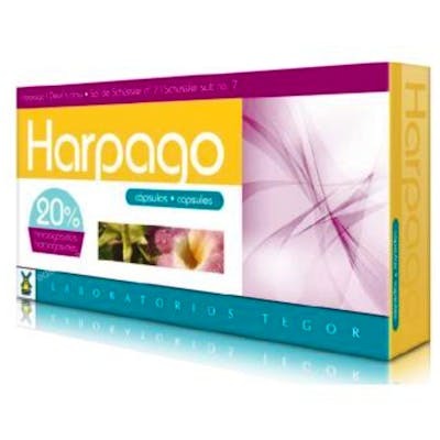 TEGOR HARPAGO 40CAPSULAS