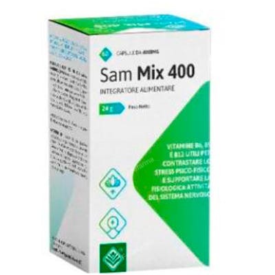 GHEOS SAM MIX 400 60cap.
