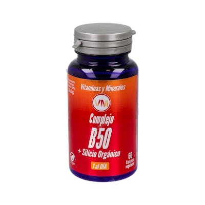 YNSADIET COMPLEJO B50 + SILICIO 60cap.