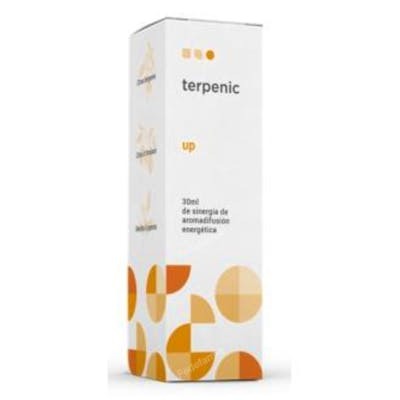 TERPENIC SINERGIA AROMADIFUSION UP 30ML