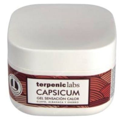 TERPENIC EVOPRO CAPSICUM GEL CALMANTE ACCION CALOR 500ML