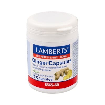 LAMBERTS GINGER JENGIBRE 60CAPSULAS