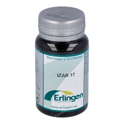 ERLINGEN IZAR 17 60comp.