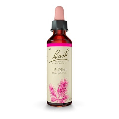 FLORES BACH ORIGINAL FLORES BACH PINE PINO SILVESTRE 20ML