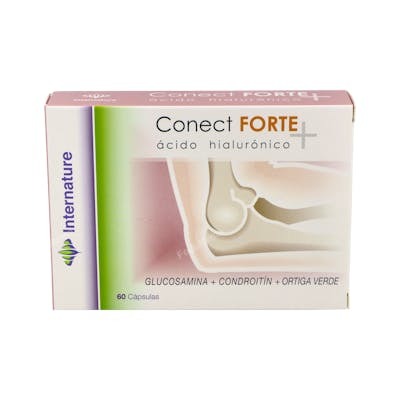 INTERNATURE CONECT FORTE 60cap.