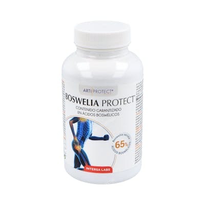 INTERSA BOSWELIA PROTECT 500mg. 45perlas