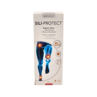 INTERSA SILI-PROTECT 500ml.