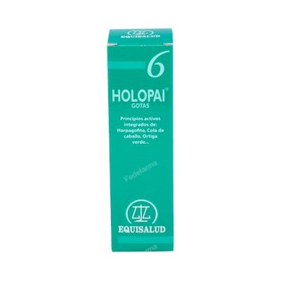EQUISALUD PAI-6 HOLOPAI (REGENERADOR TEJ,ANTIINFLAMAT) 31M