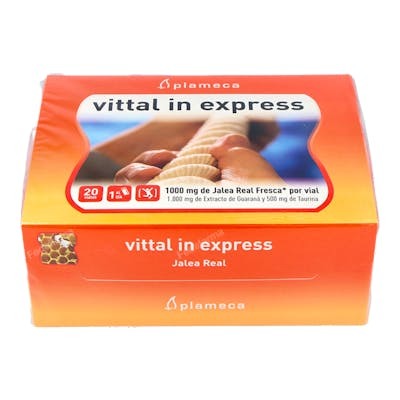 PLAMECA VITAL IN EXPRESS jalea real 20amp