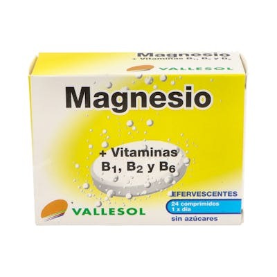 VALLESOL MAGNESIO+B EFERVESCENTE 24comp.